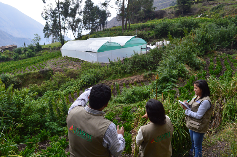 Energías renovables buscan mejorar la producción de flores en Matucana